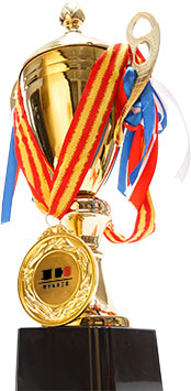 榮譽(yù)獎杯